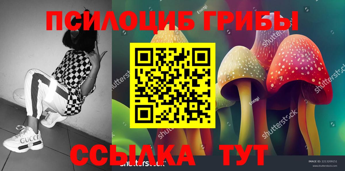 Галлюциногенные грибы мицелий Родники