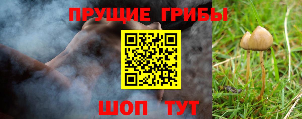 Псилоцибиновые грибы GOLDEN TEACHER  Вход с VPN  Родники 